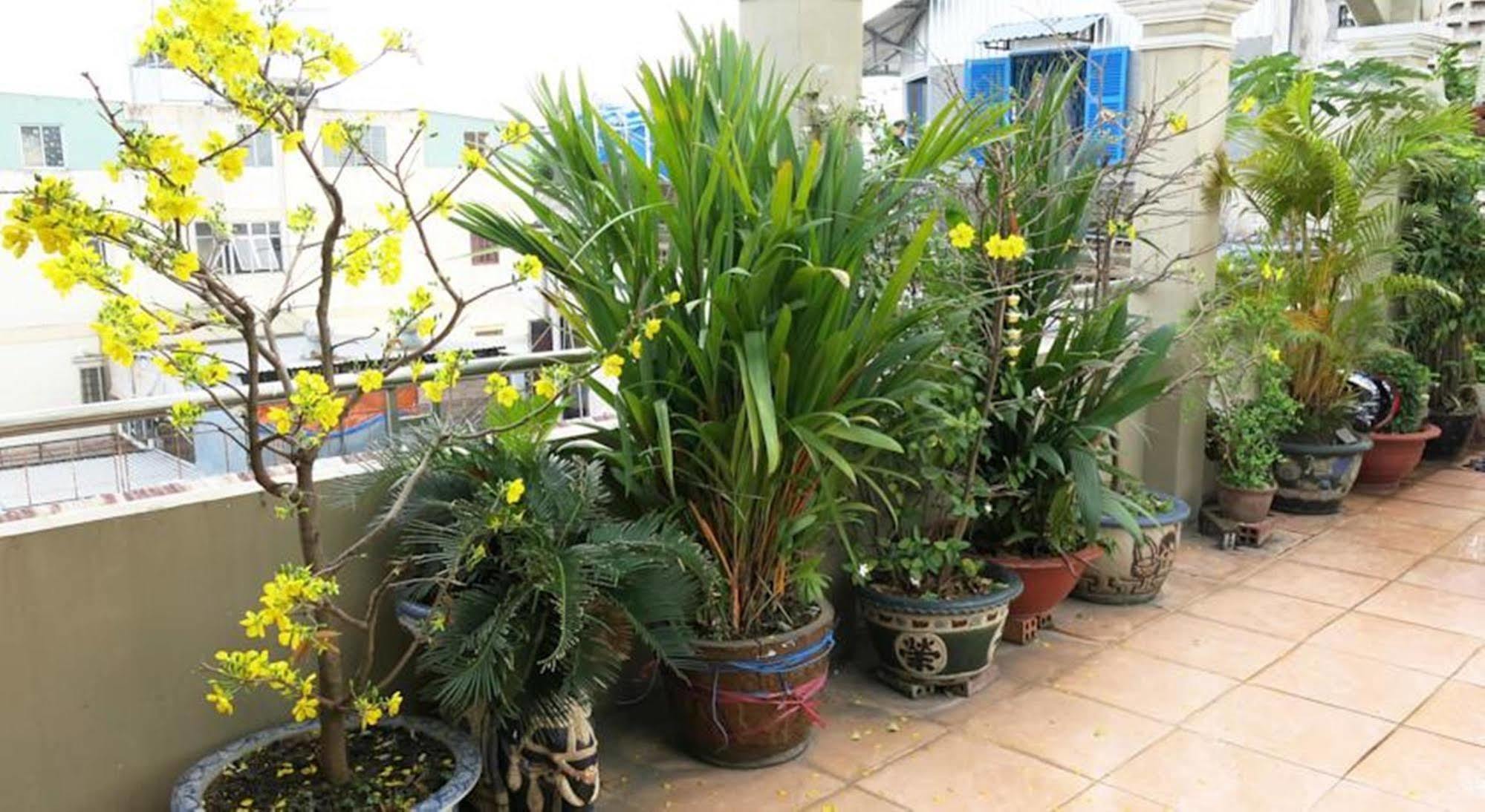 Banana Leaf Hotel Cidade de Ho Chi Minh Exterior foto